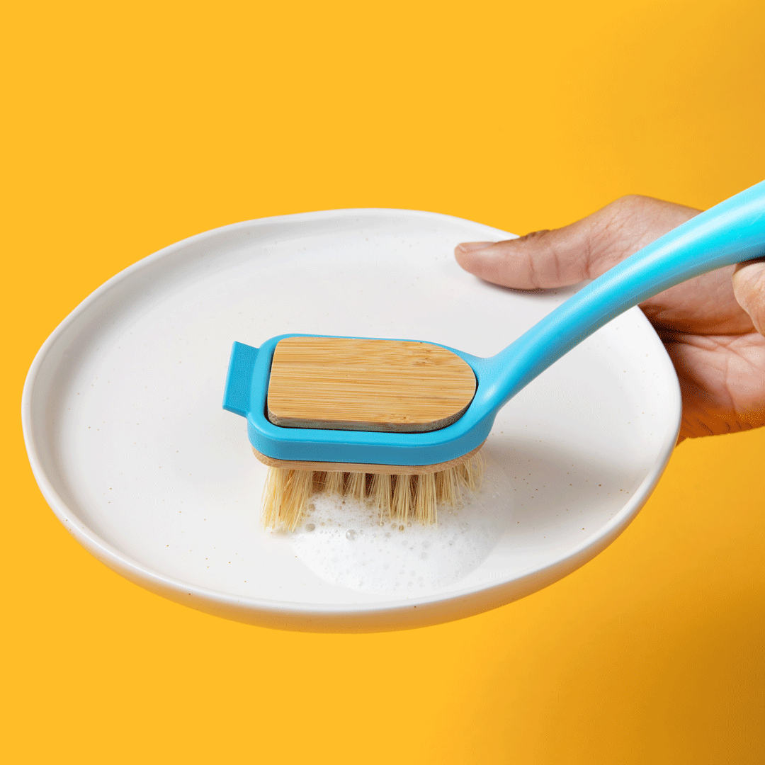 Dish Brush
