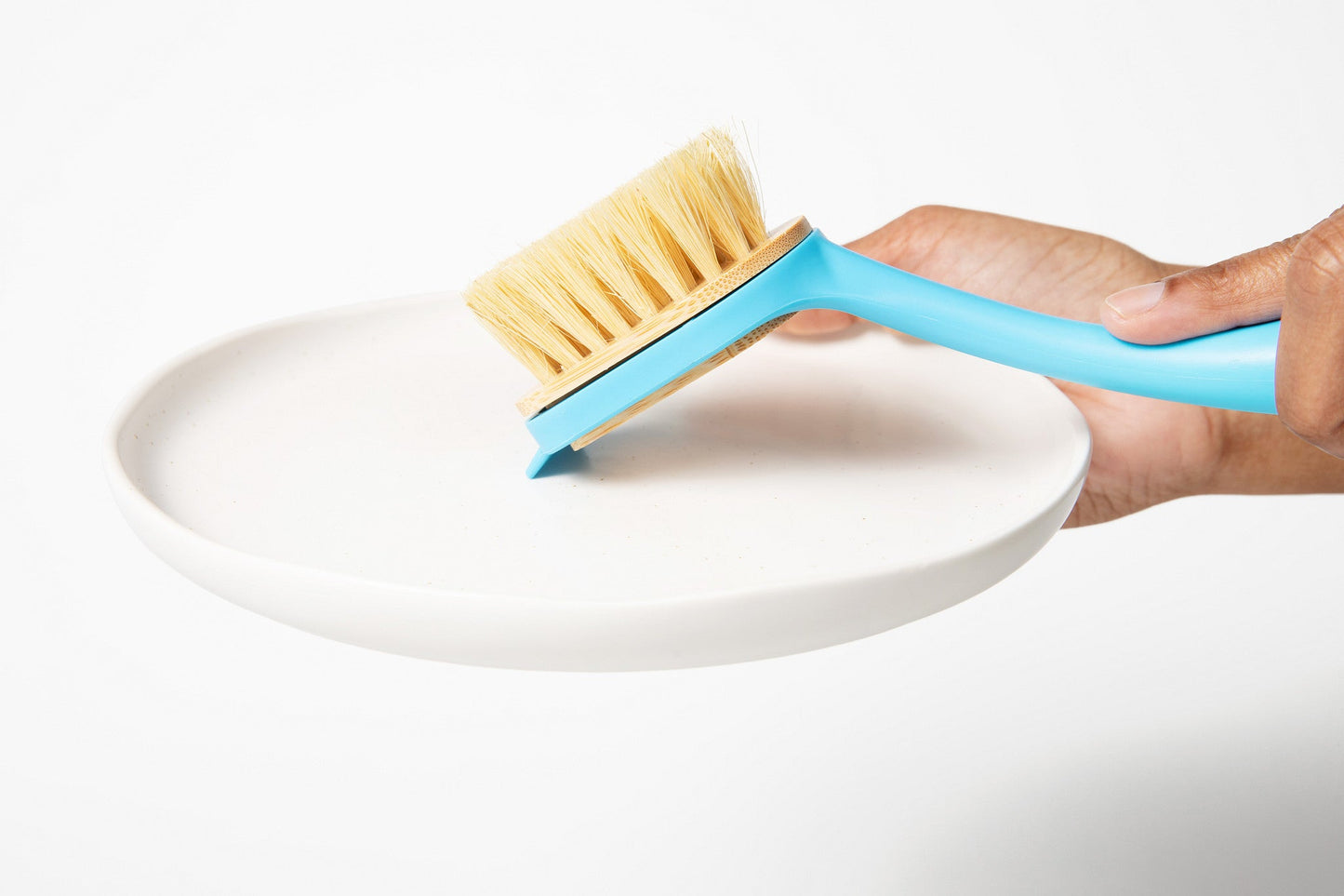Dish Brush